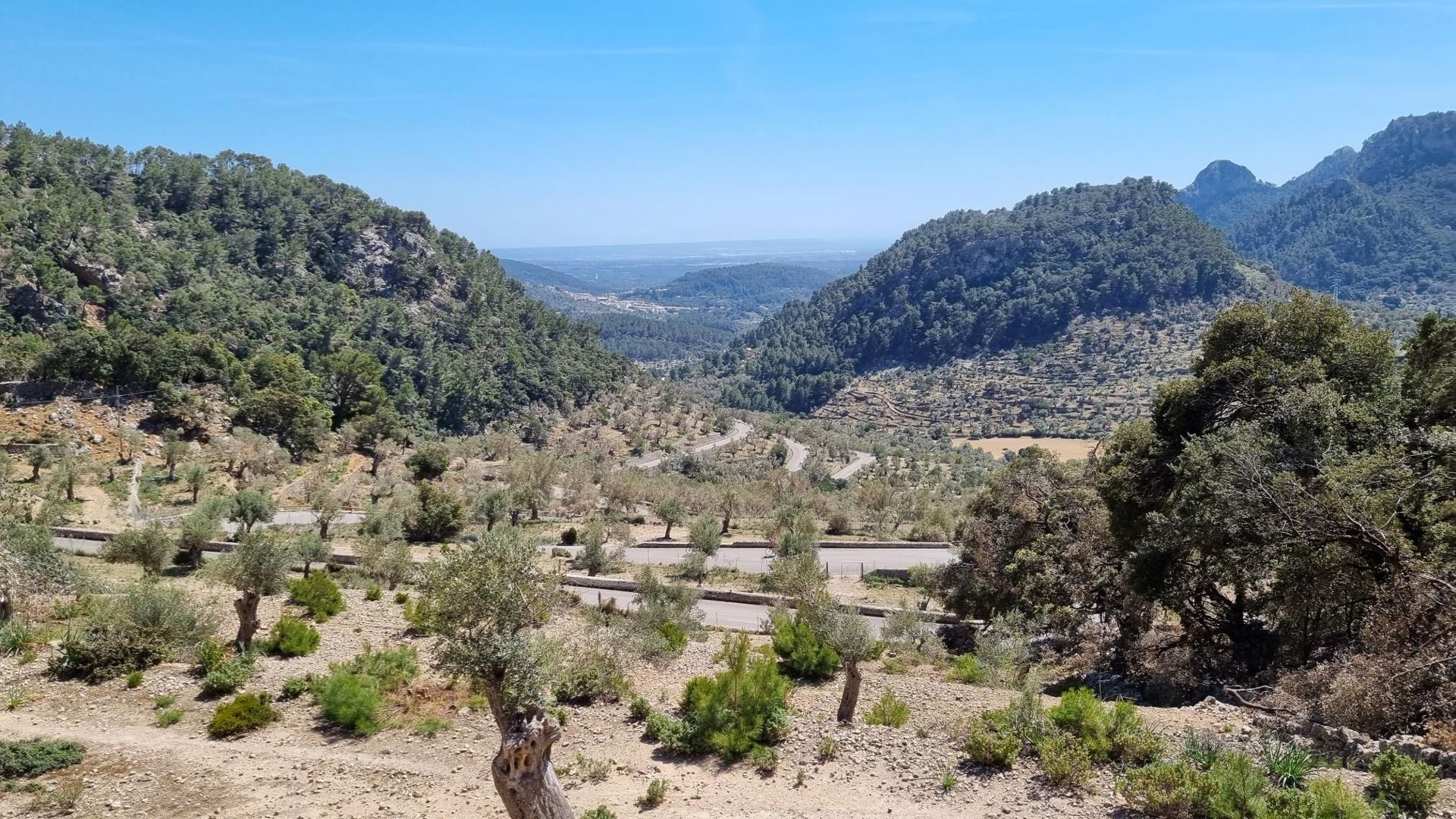Coll de Sóller desde Palma